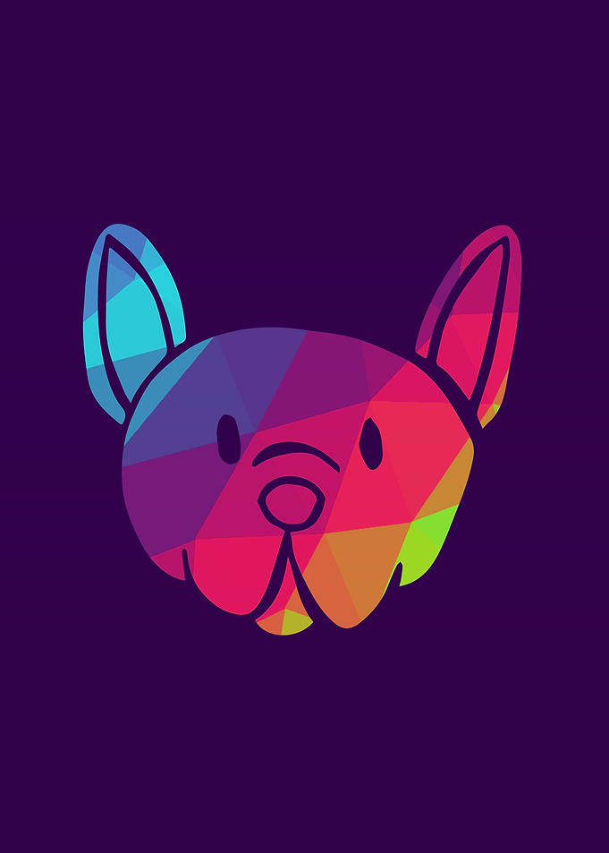 Rainbow Dog 6