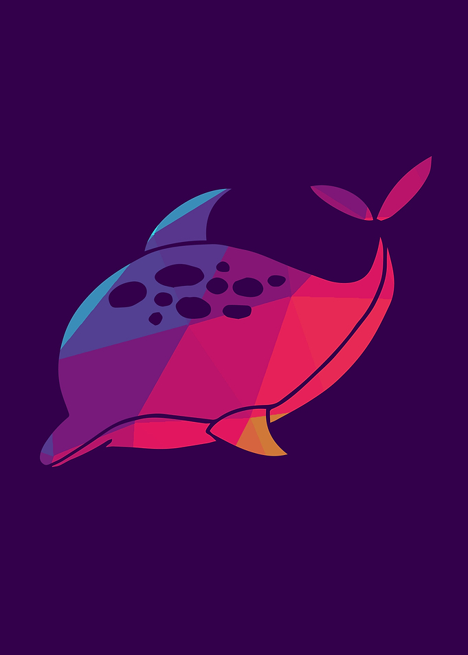 Rainbow Dolphin 8
