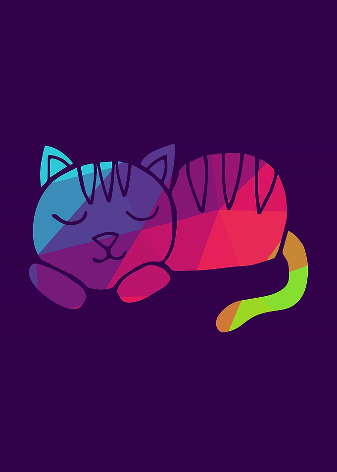 Rainbow Cat 5