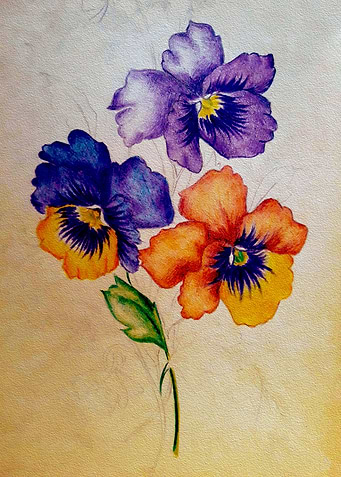 Vintage Pansy flowers
