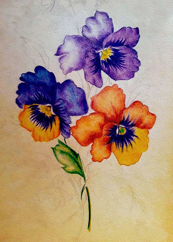 Vintage Pansy flowers