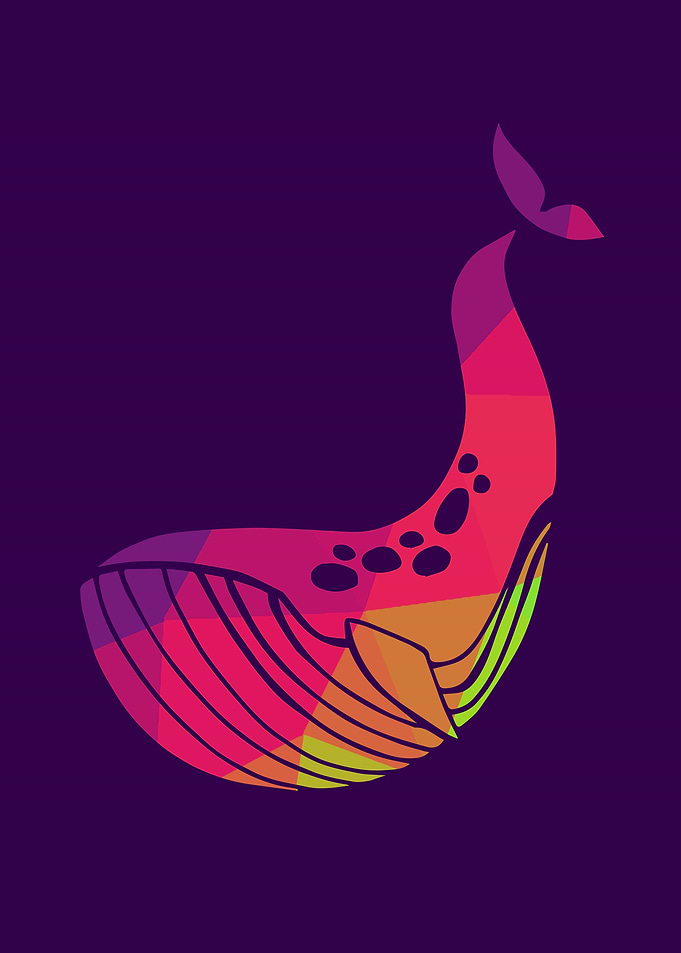 Rainbow Whale 9