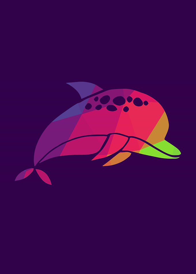 Rainbow Dolphin 7