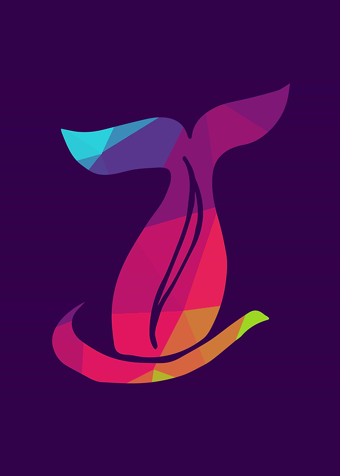 Rainbow Tail 1