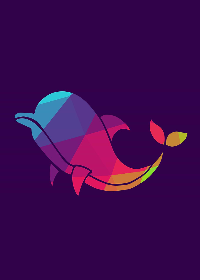 Rainbow Dolphin 4