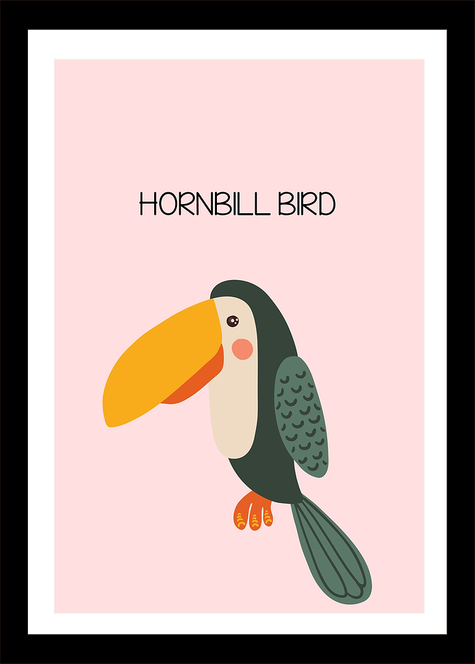 hornbill bird