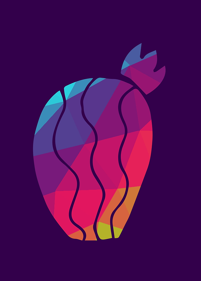 Rainbow Cactus 9