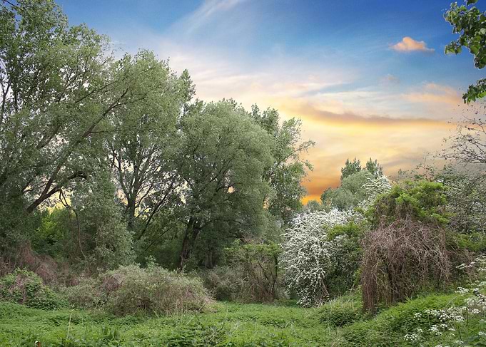 Leuven berm