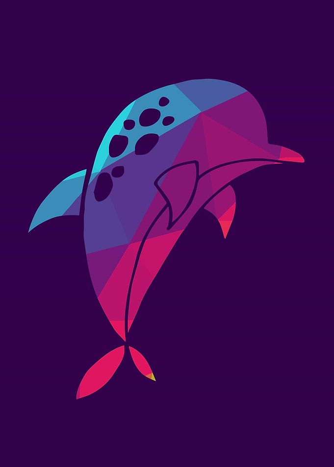 Rainbow Dolphin 2