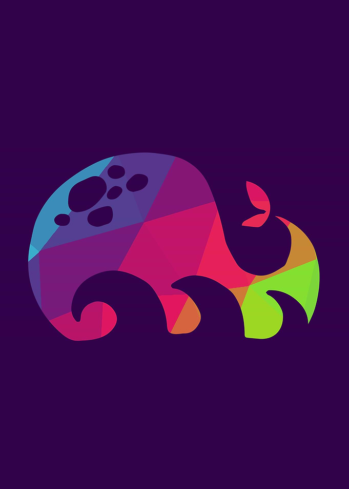 Rainbow Whale 8
