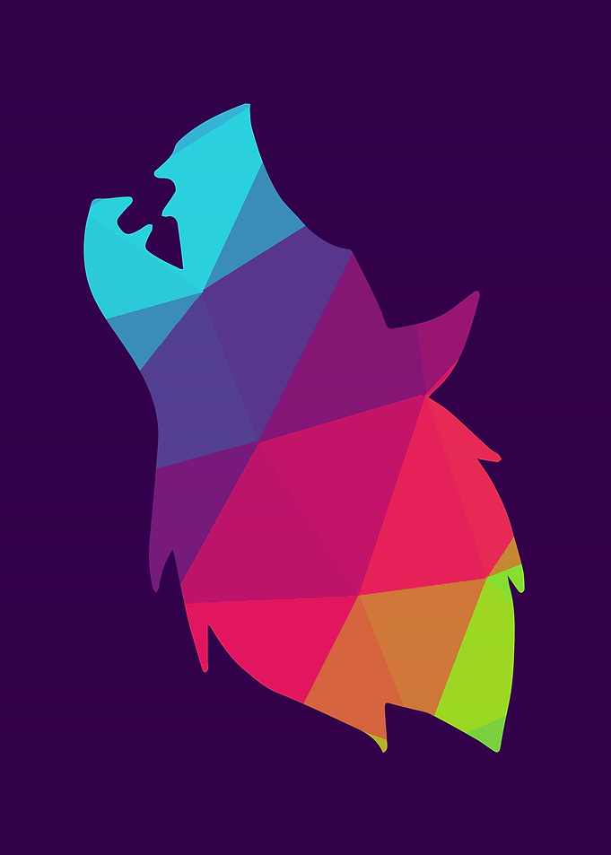 Rainbow Wolf 9