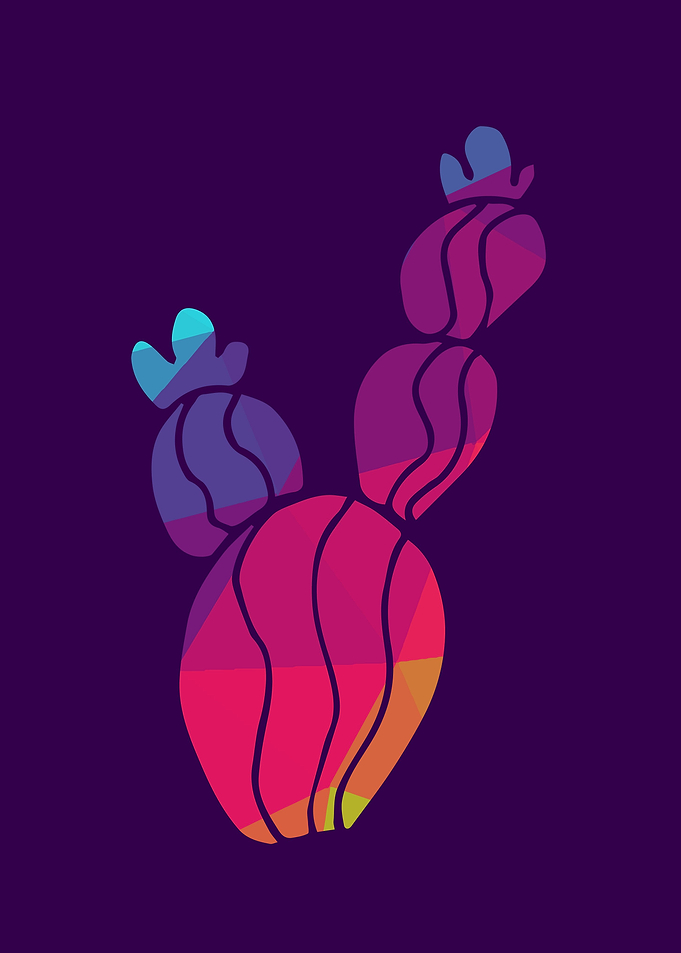 Rainbow Cactus 7