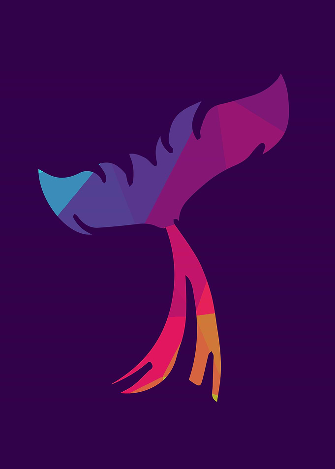 Rainbow Tail 5