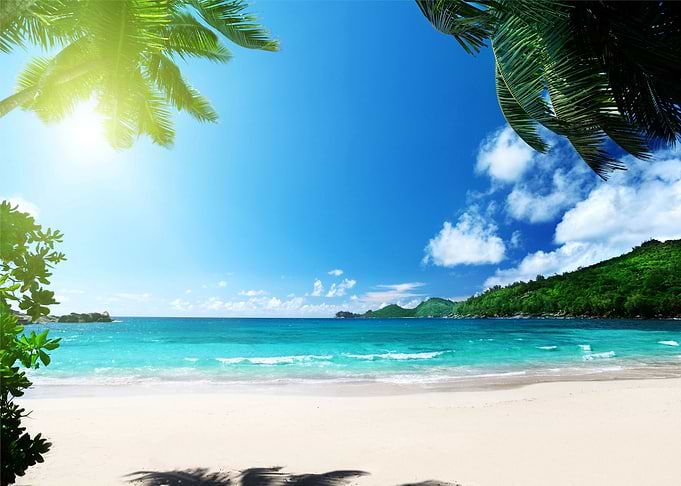 Beach Paradise