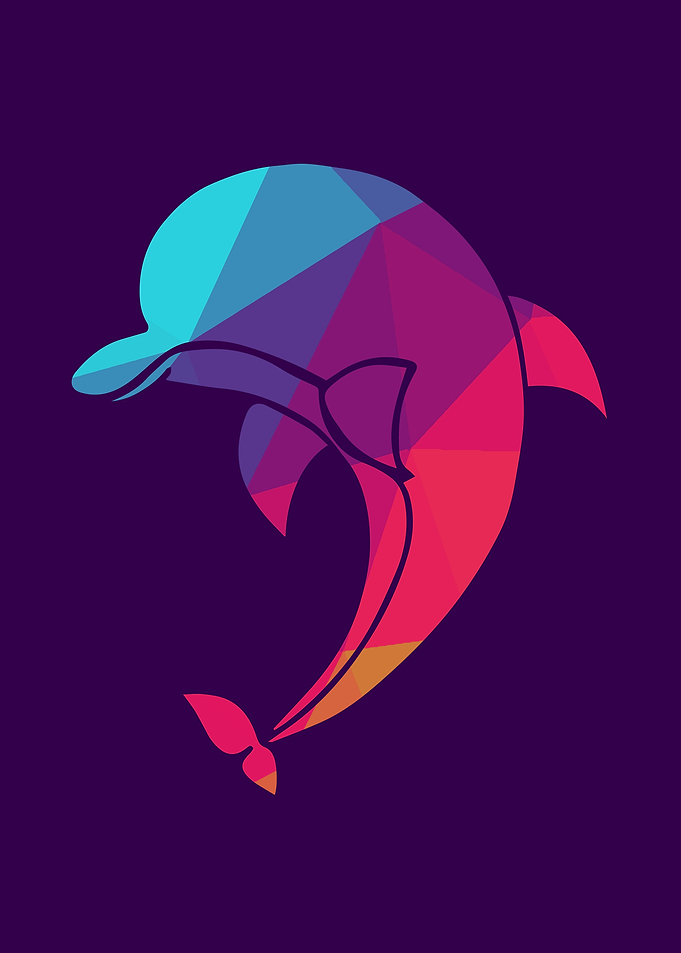 Rainbow Dolphin 6