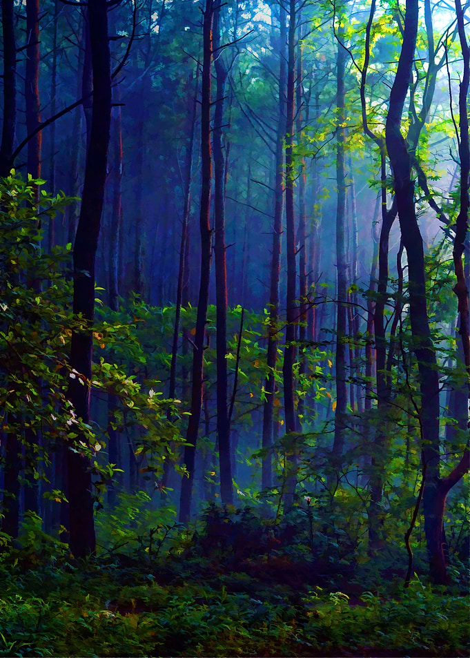 Lost In Wildernes