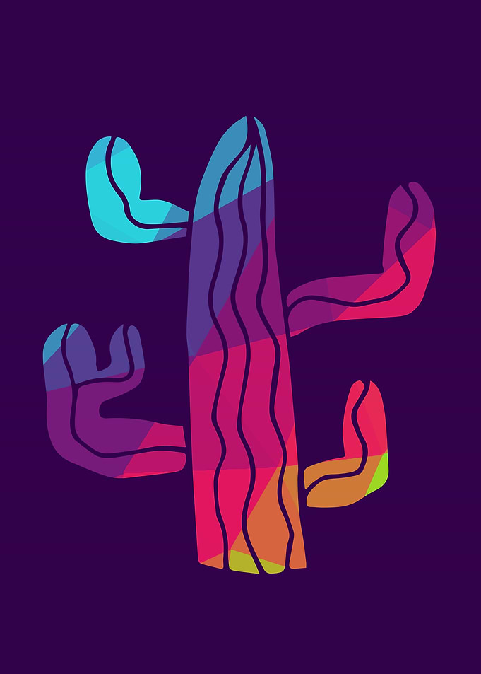 Rainbow Cactus 2