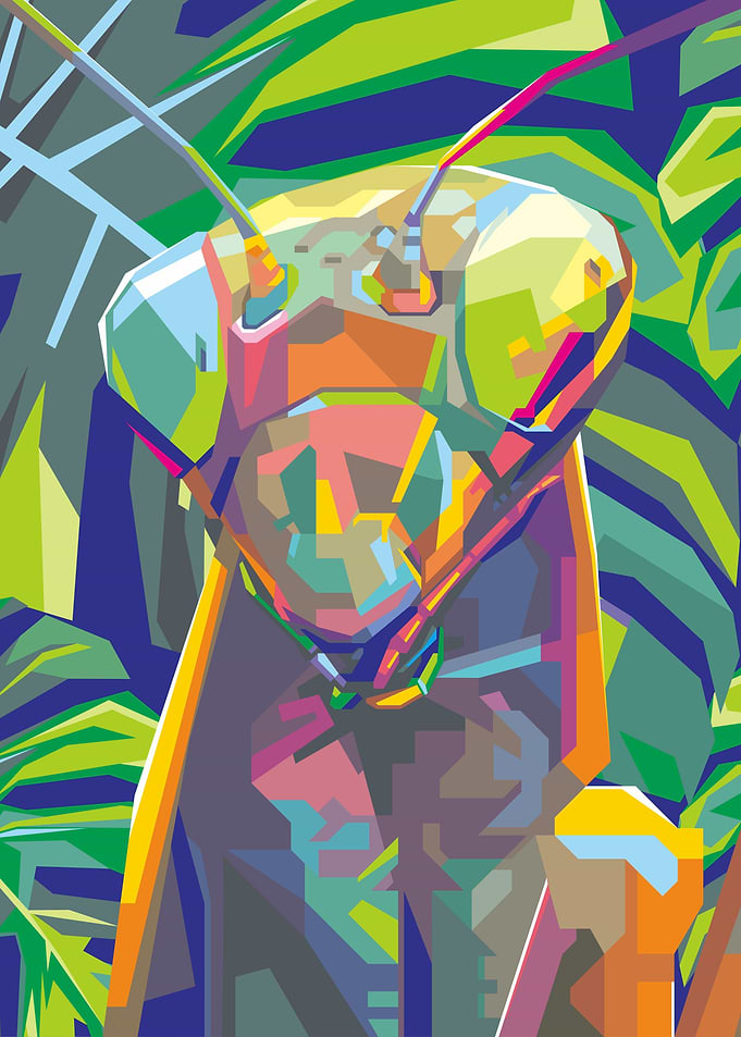Colorful Mantis
