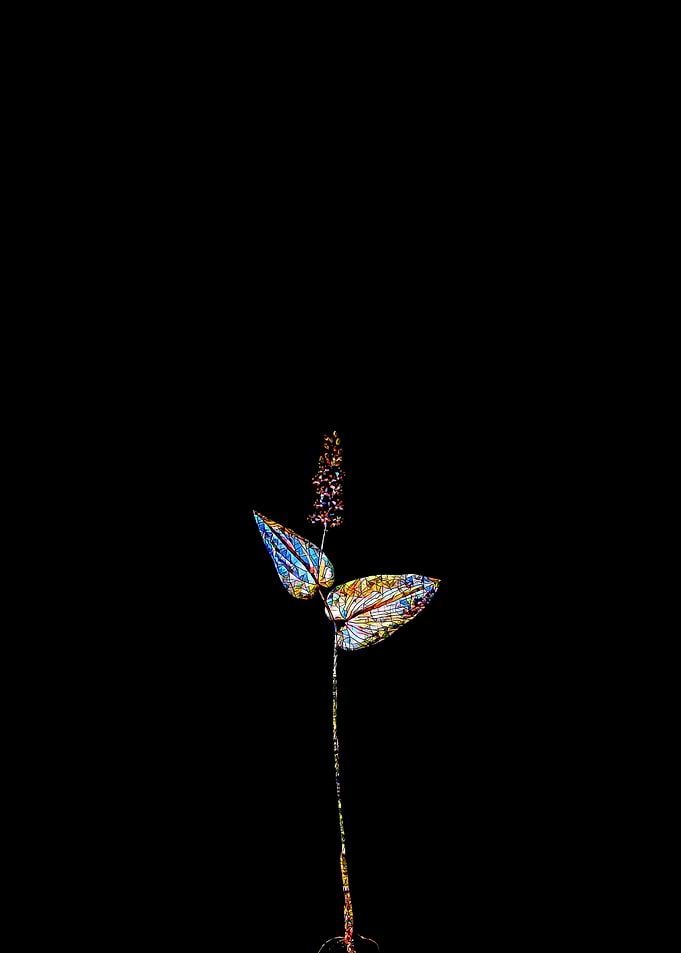 Stained Glass Botanical