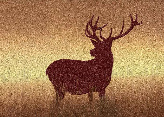 Oh deer