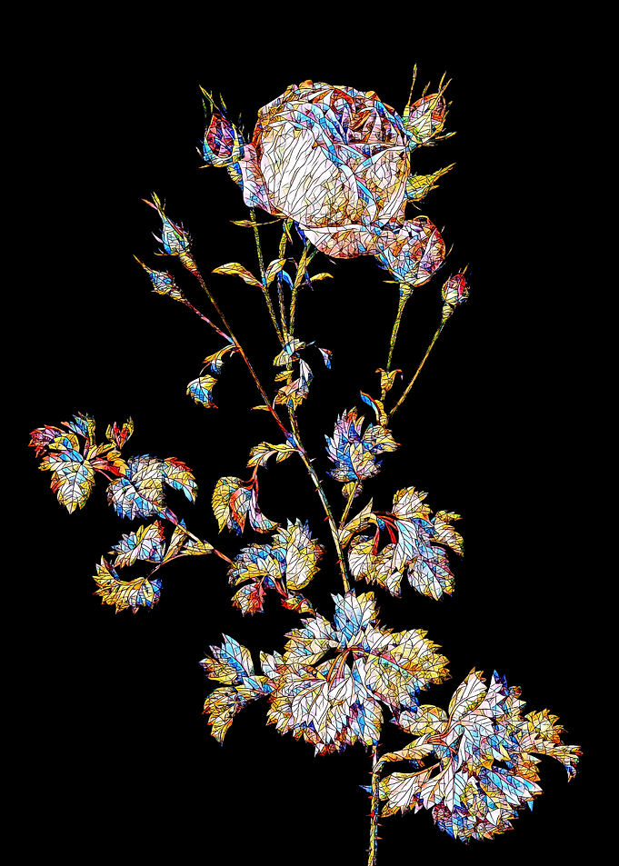 Stained Glass Rose Flower