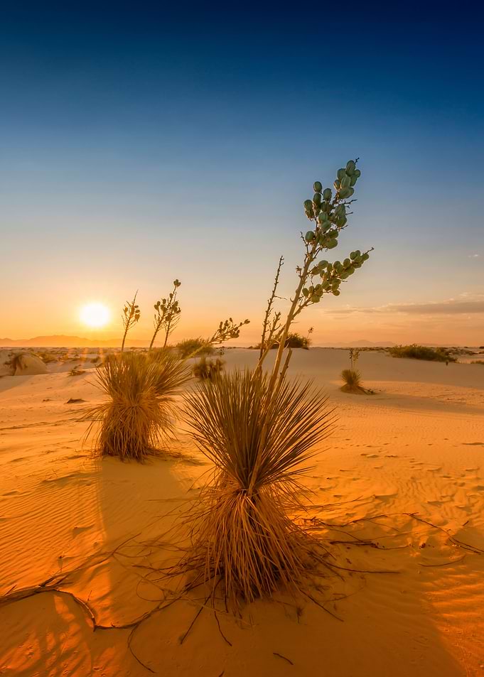 White Sands Sunset