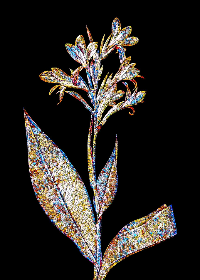 Prismatic Mosaic Botanical