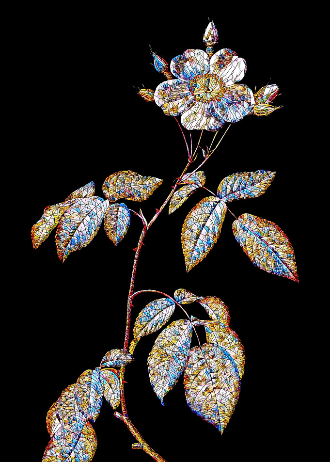 Stained Glass Rose Flower