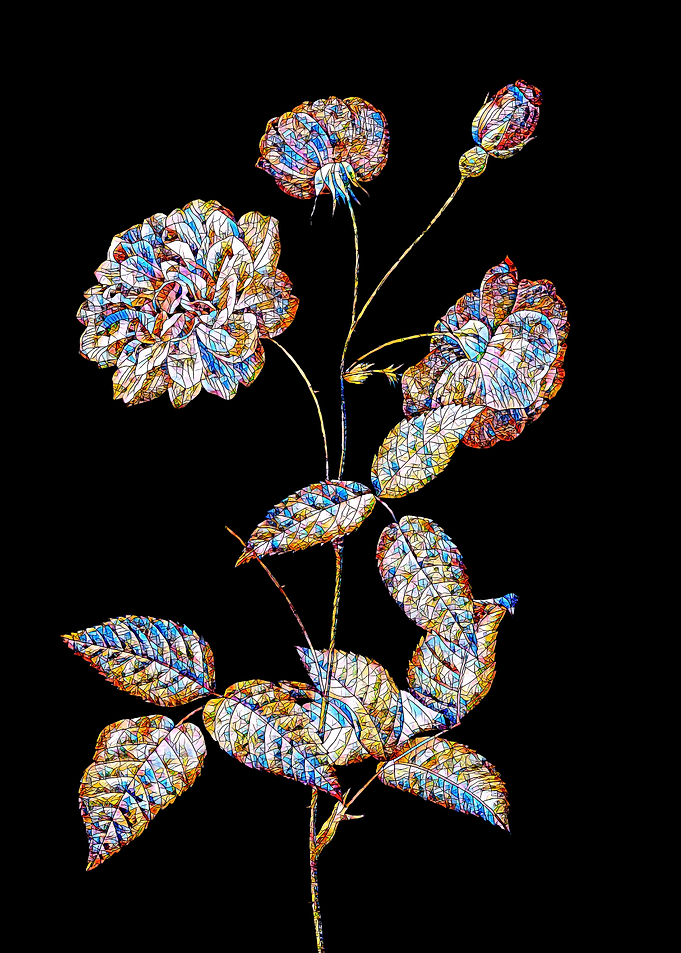 Prismatic Rose Mosaic