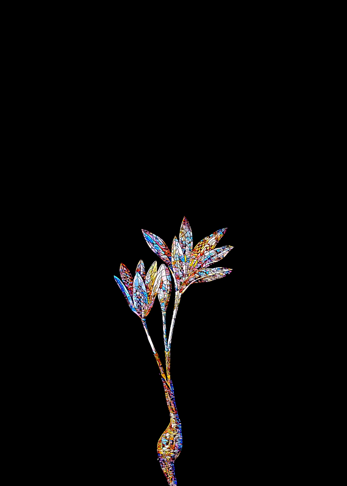 Prismatic Mosaic Crocus