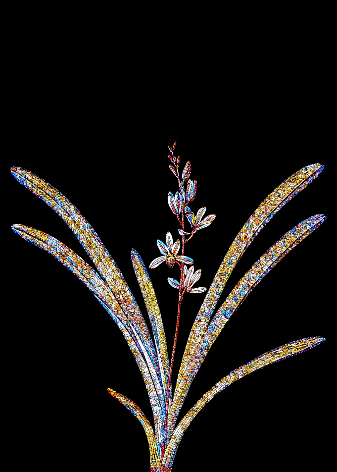 Stained Glass Botanical