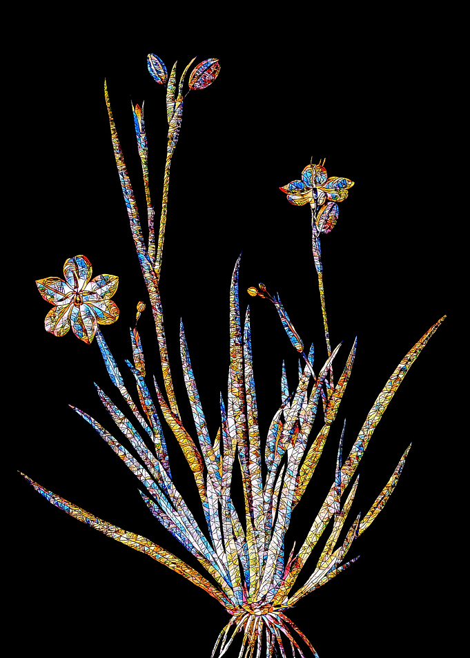 Prismatic Mosaic Botanical