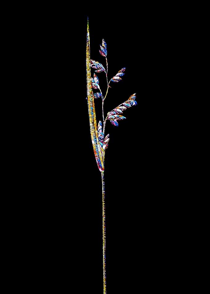 Rainbow Mosaic Flower Art