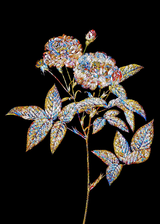 Prismatic Rose Mosaic