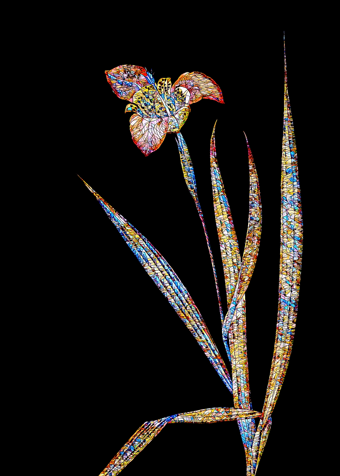 Prismatic Mosaic Botanical