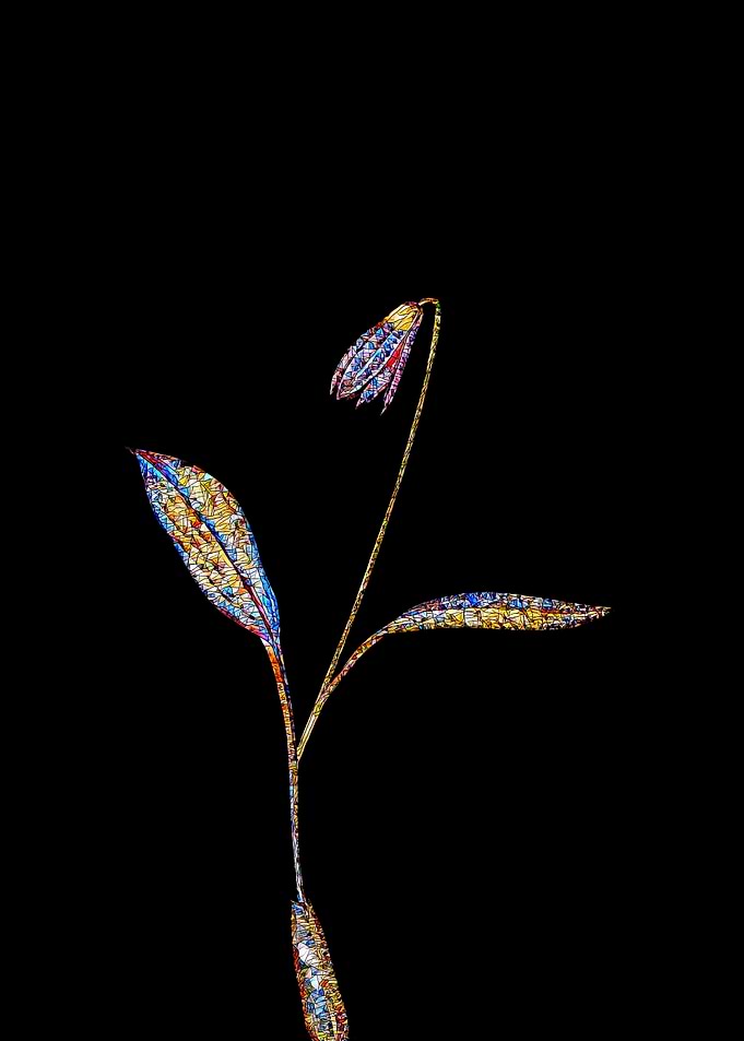 Prismatic Mosaic Botanical