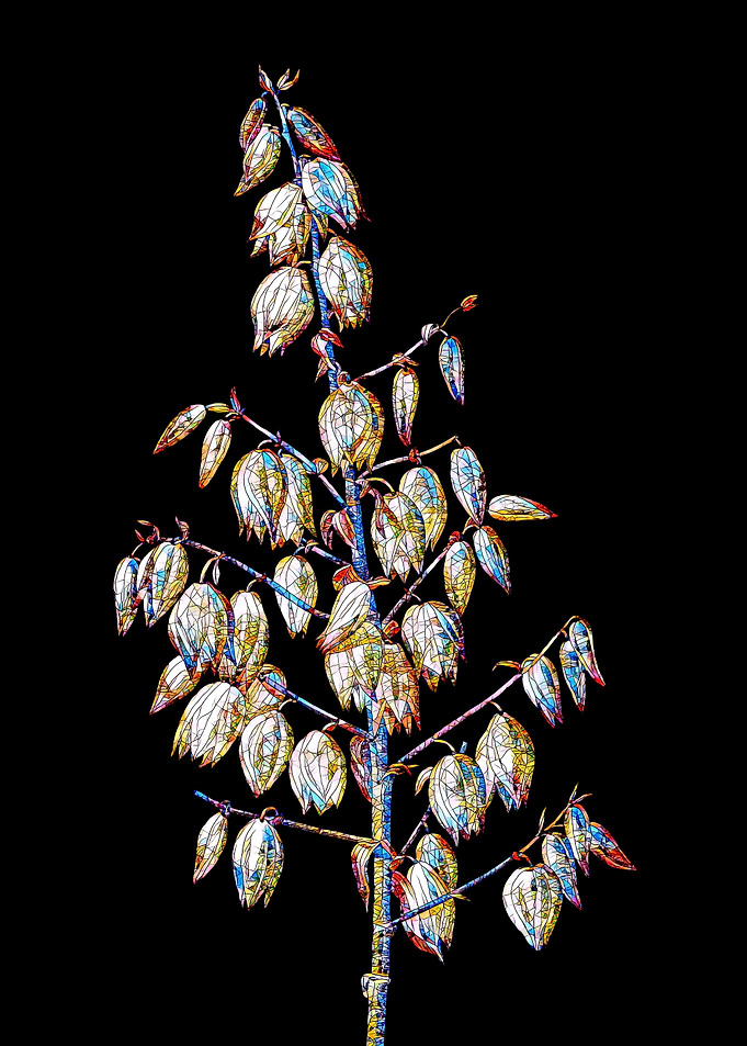 Stained Glass Botanical