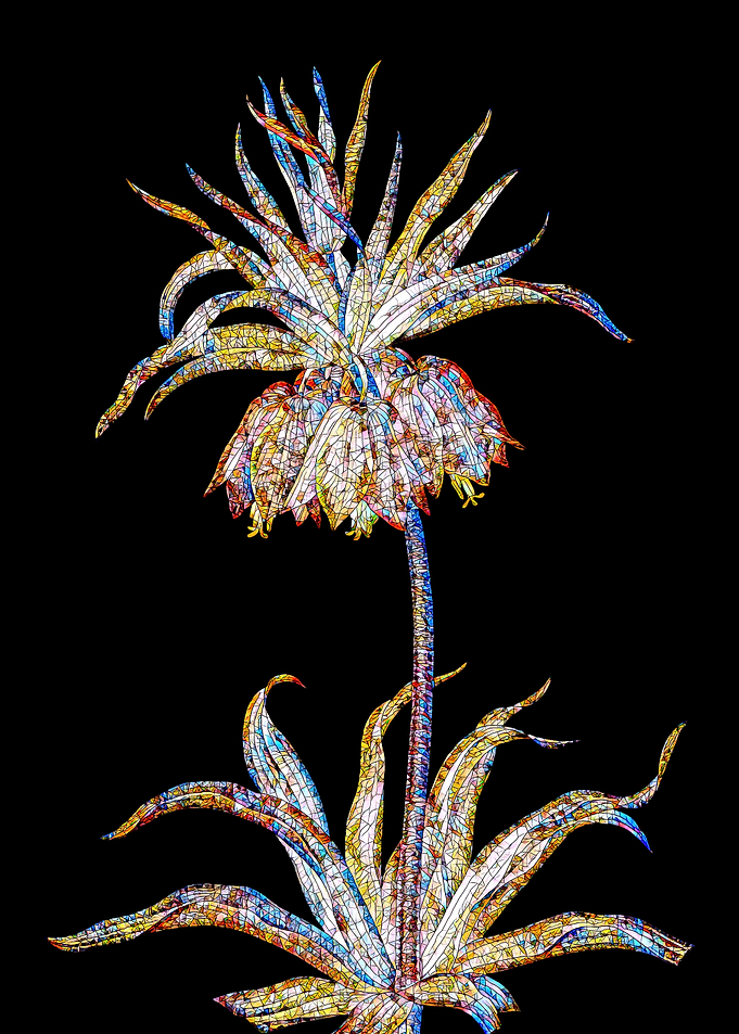 Prismatic Mosaic Botanical