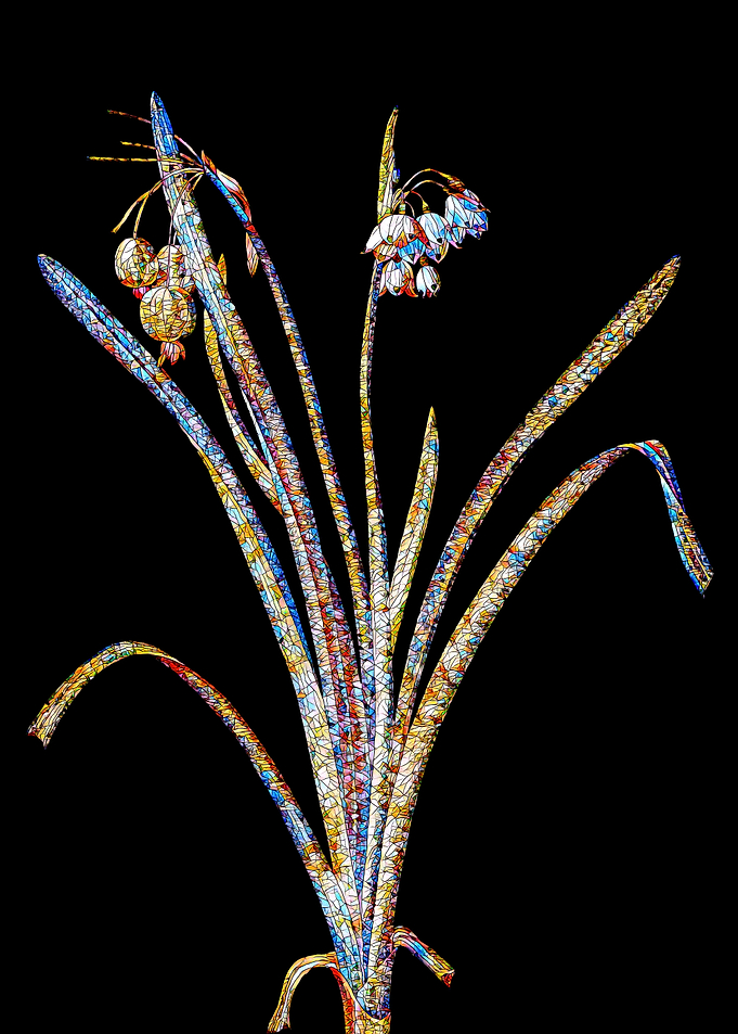 Prismatic Mosaic Botanical