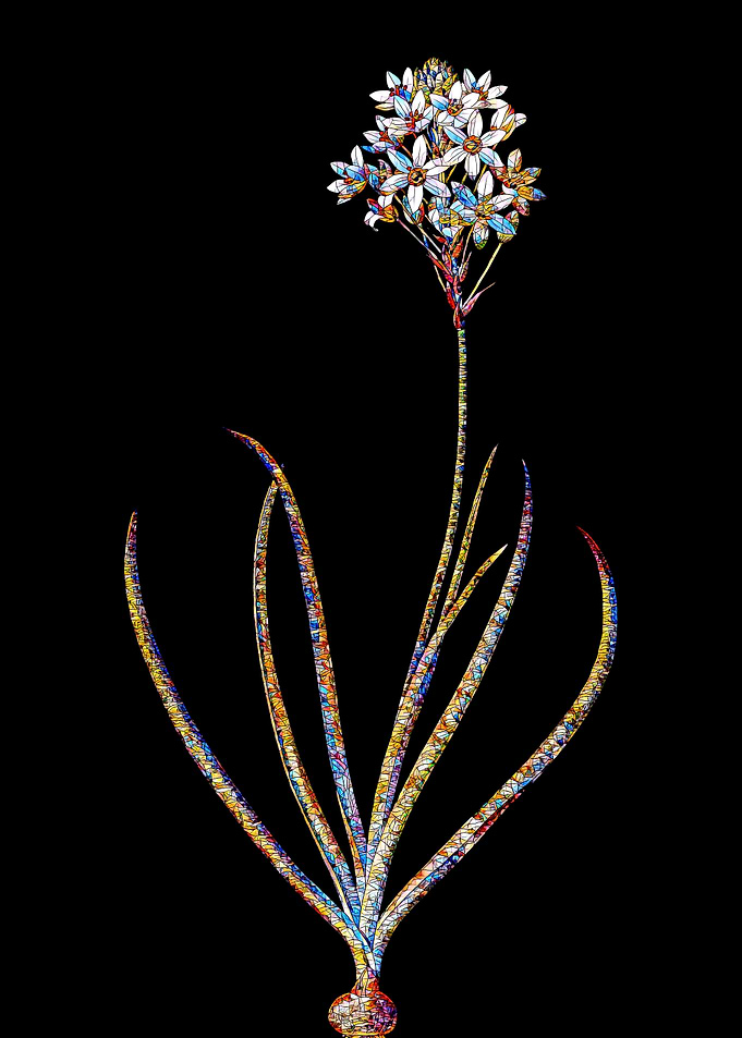 Stained Glass Botanical