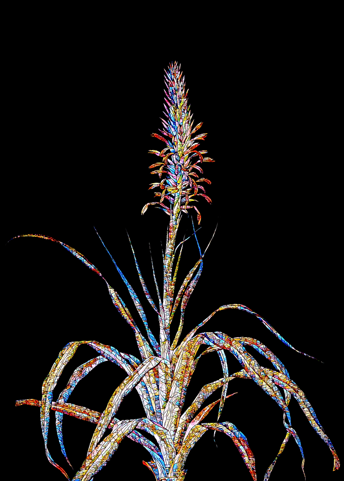 Stained Glass Botanical