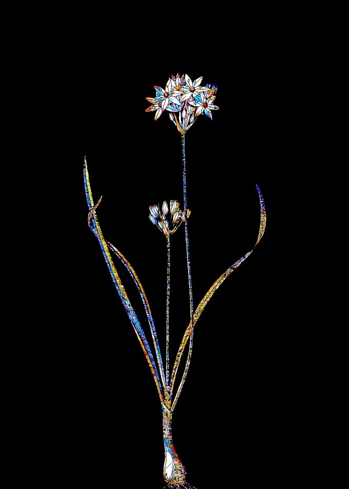 Prismatic Mosaic Botanical