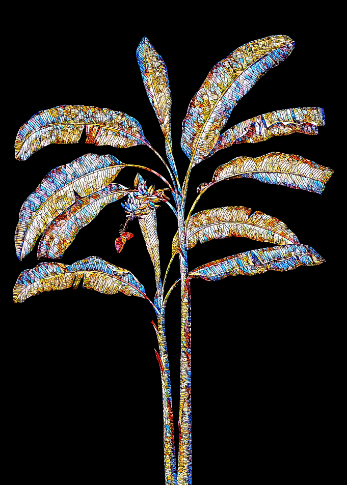 Stained Glass Botanical