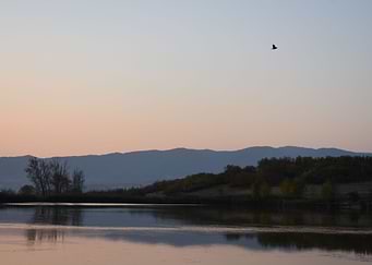 reflection in lake water
