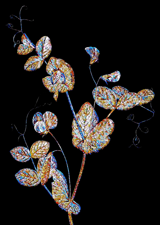 Prismatic Mosaic Botanical