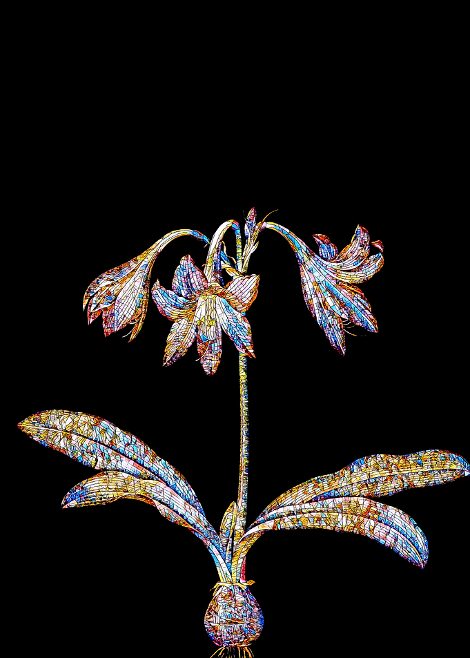 Stained Glass Amaryllis