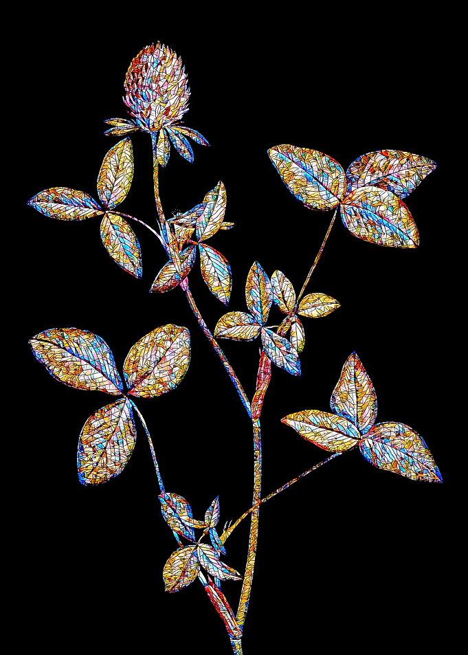 Stained Glass Botanical