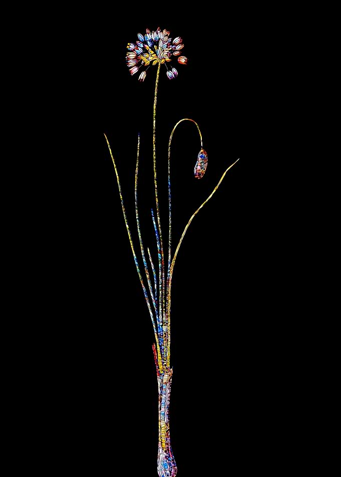 Stained Glass Botanical