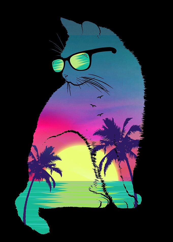Summer Cat