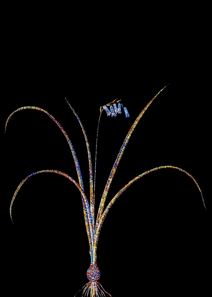 Stained Glass Botanical